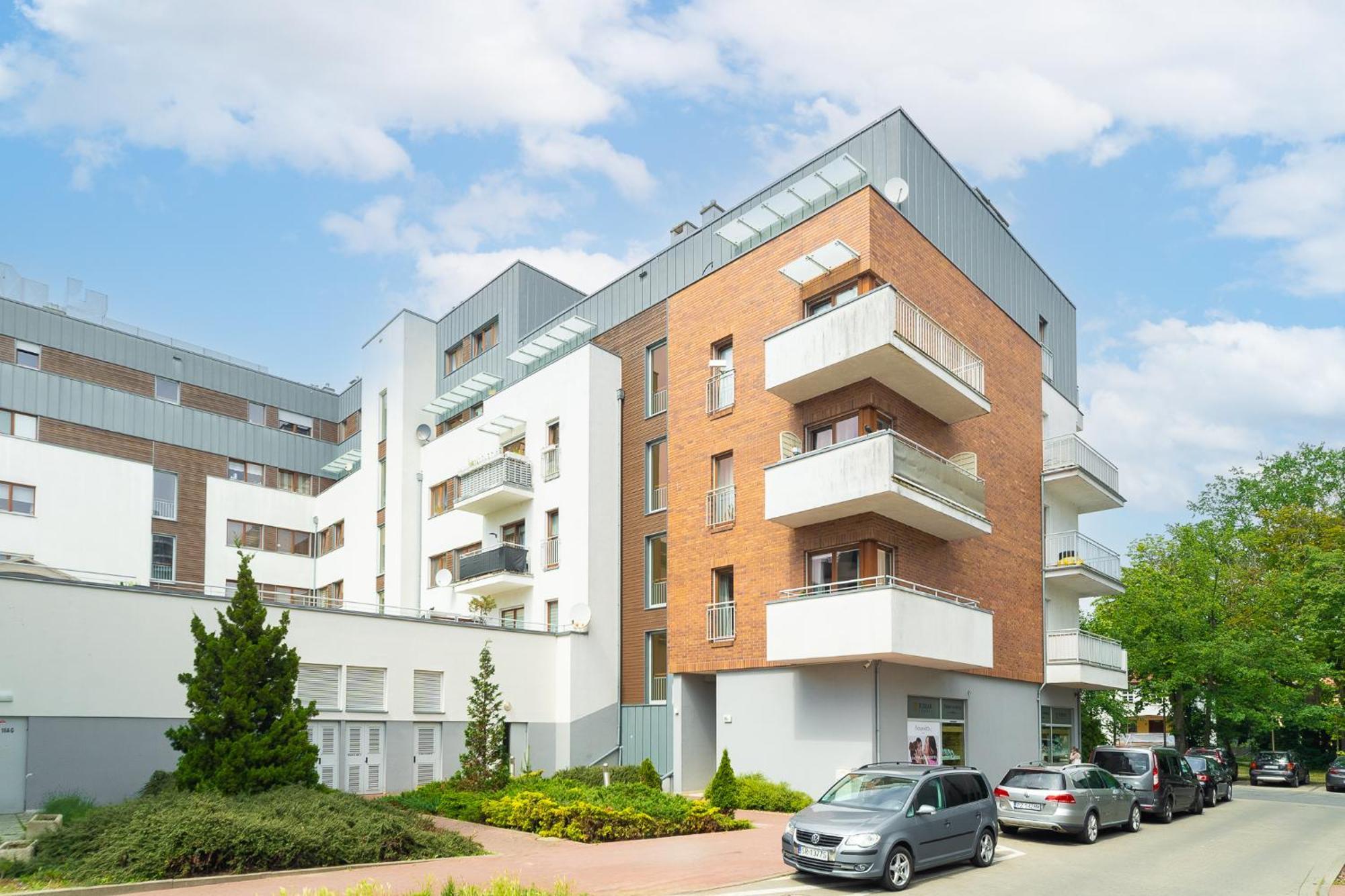 Ostsee Platan Premium